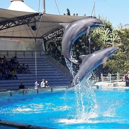 Family And Executive Apartmán *